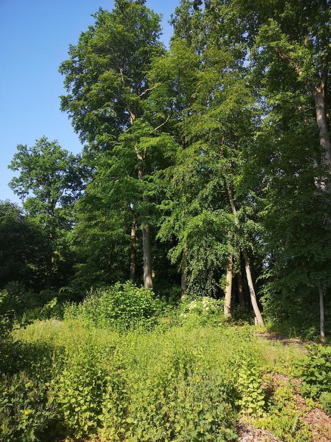 Gaestehaus Maria Rast Suderburg Bagian luar foto