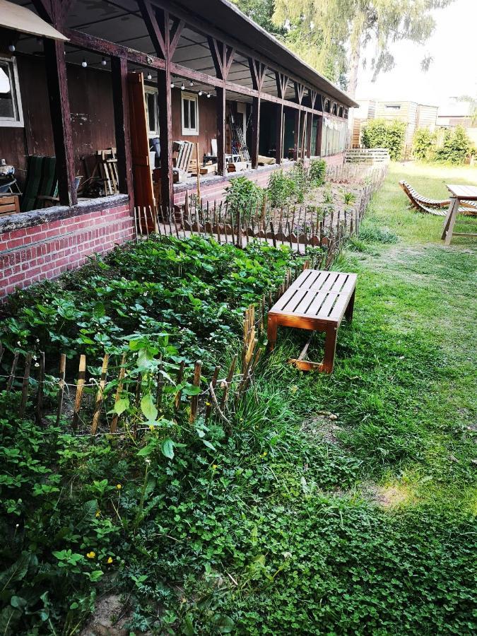 Gaestehaus Maria Rast Suderburg Bagian luar foto